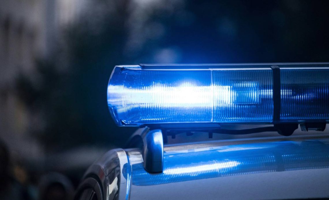 druhy policejních aut